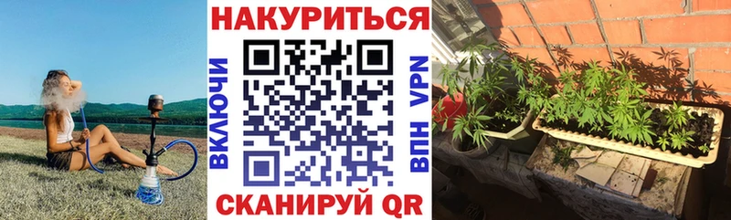 Где продают наркотики Майкоп Конопля Cocaine Alpha PVP Псилоцибиновые грибы Гашиш АМФЕТАМИН