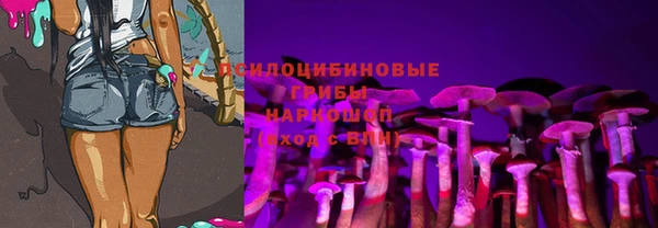 твердый Богородицк