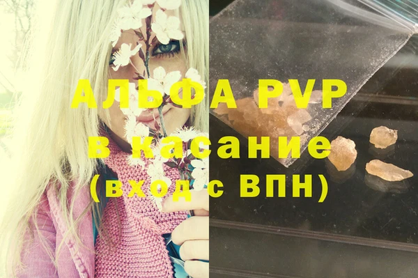 бошки Богданович
