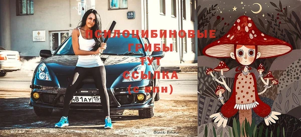 бошки Богданович