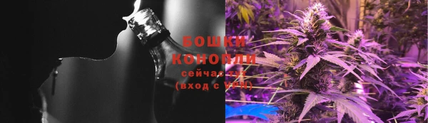 бошки Богданович