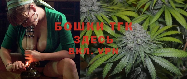 твердый Богородицк