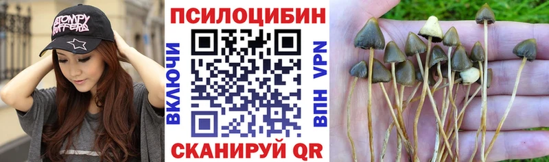 Псилоцибиновые грибы MAGIC MUSHROOMS  Майкоп 